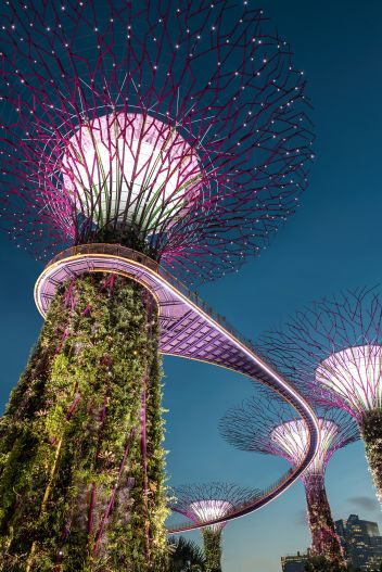 One of the towers in the Singapore Botanic Gardens.