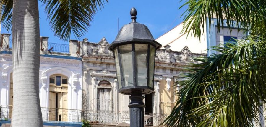 Street light palm trees