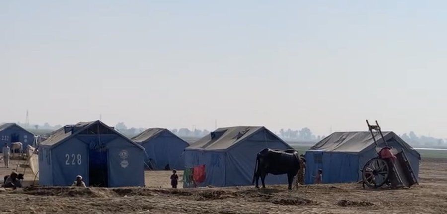 A row of blue tents. 