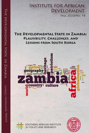 Developmental State