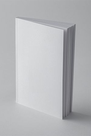 White book on a gray background