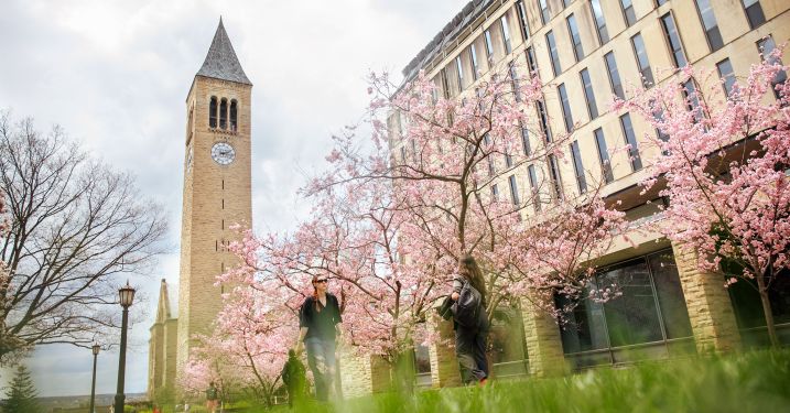 campus in spring