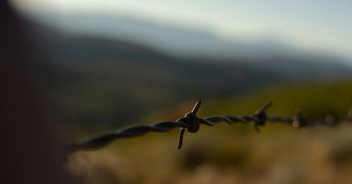 Fence