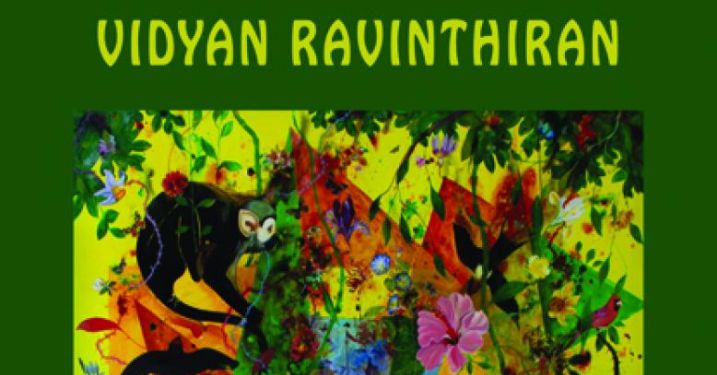 Avidya book cover