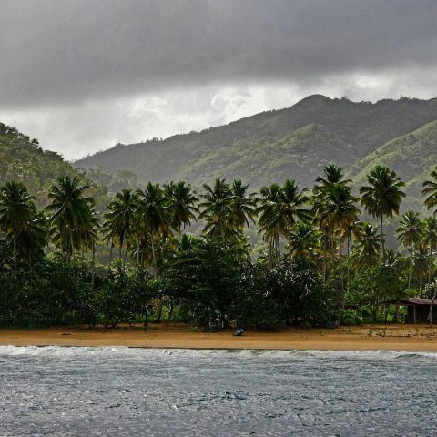 Photo of shoreline in Dominican Republic
