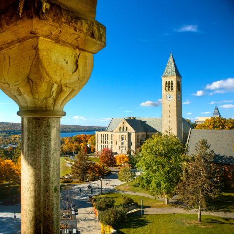 Sunny day on Cornell campus. 