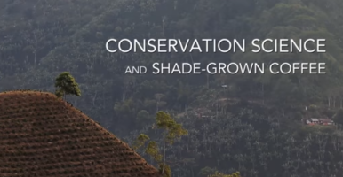 Opening frame of Lab of O video with Amanda Rodewald